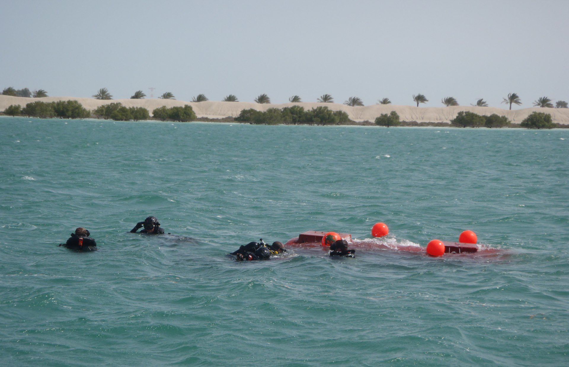 Des plongeurs-démineurs s'entraînent dans le golfe Arabo-persique