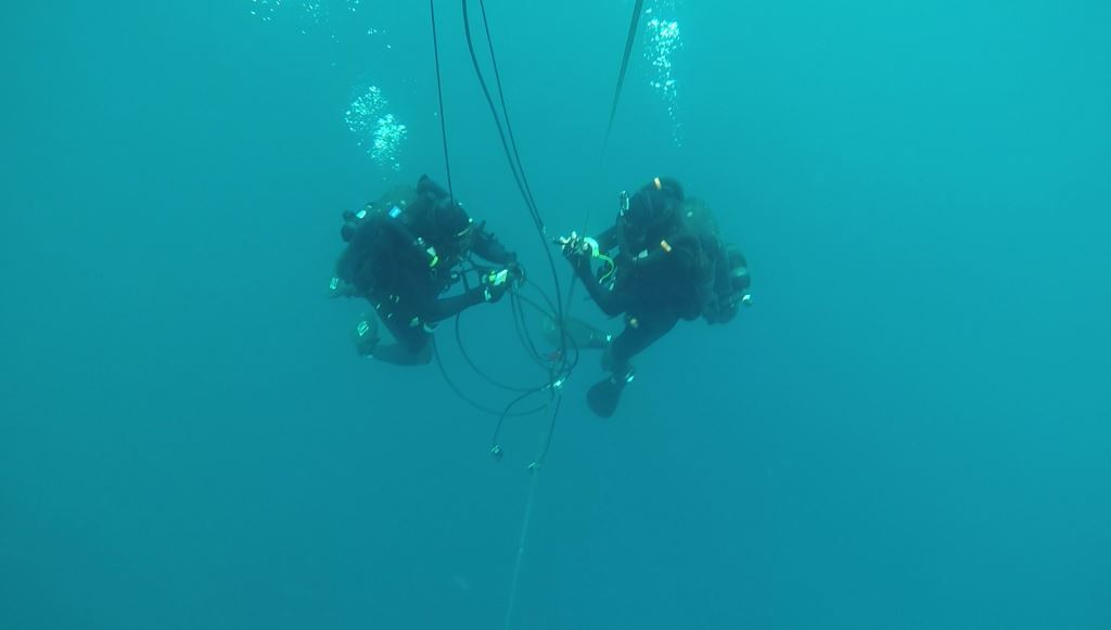 Des plongeurs-démineurs s’entraînent dans le golfe Arabo-persique