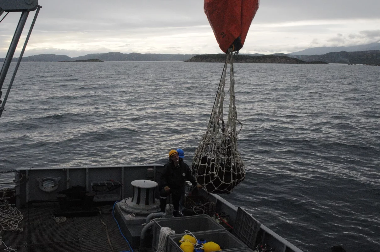 Les obus inertes sont remontés sur la plage arrière de l'Achéron