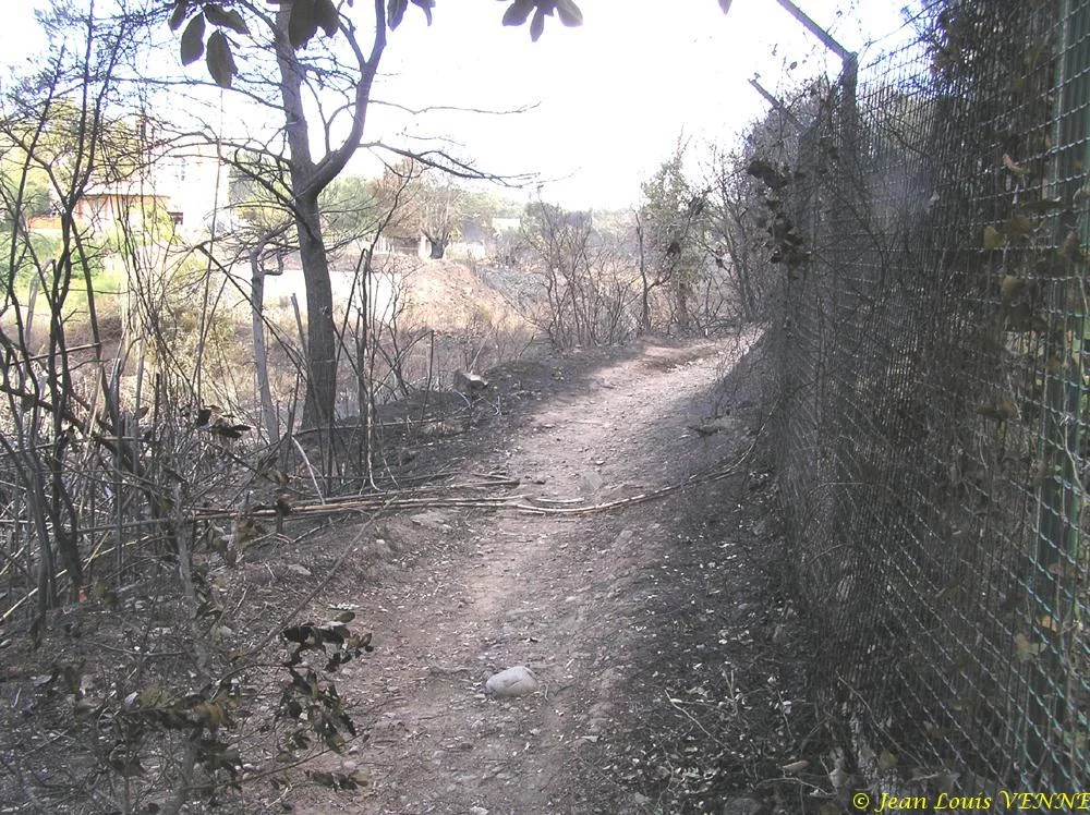 Les dégâts provoqués par l'incendie au CIN St Mandrier