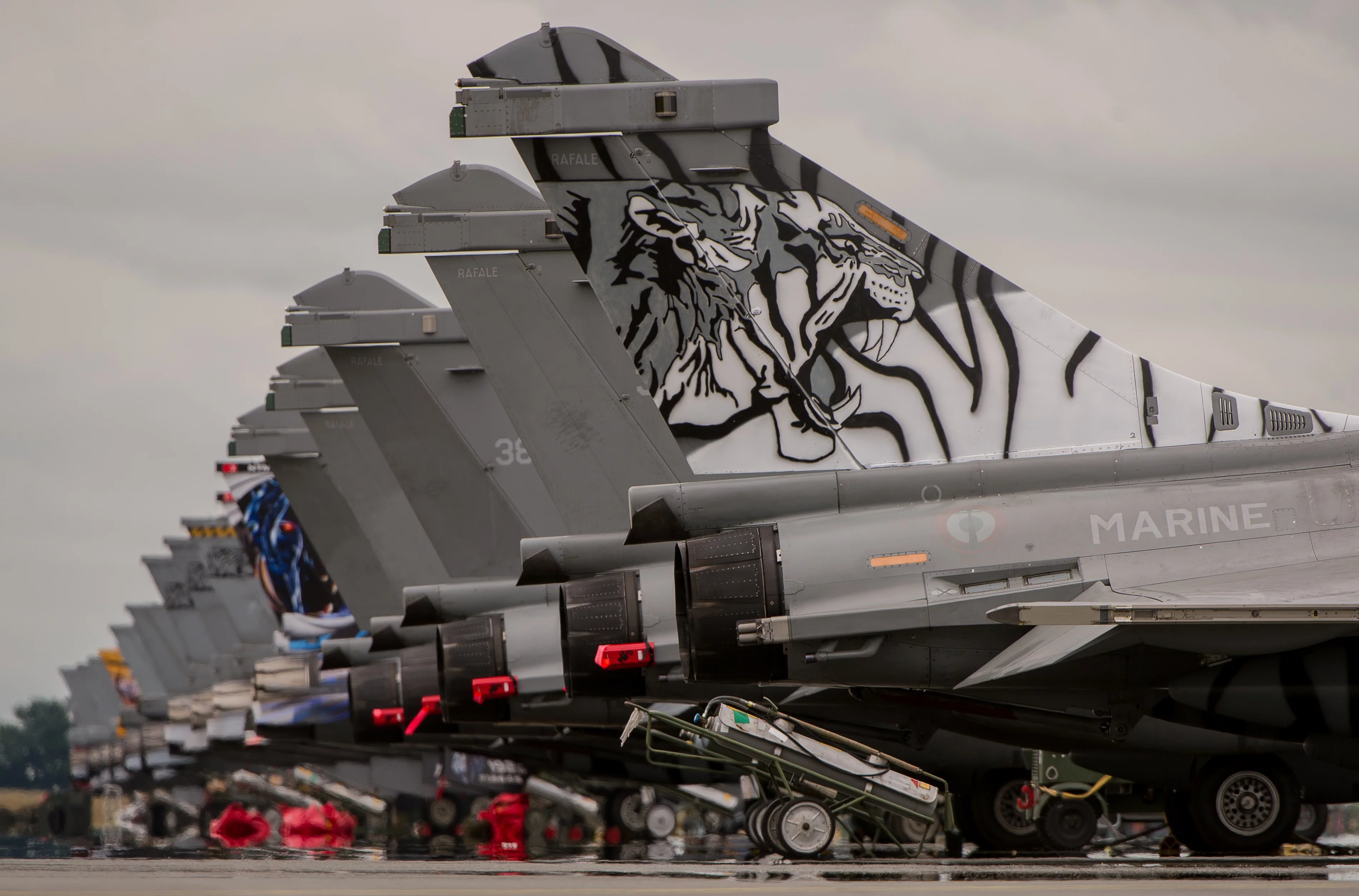 Alignement d'avions de chasse participant au NATO Tiger Meet 2014