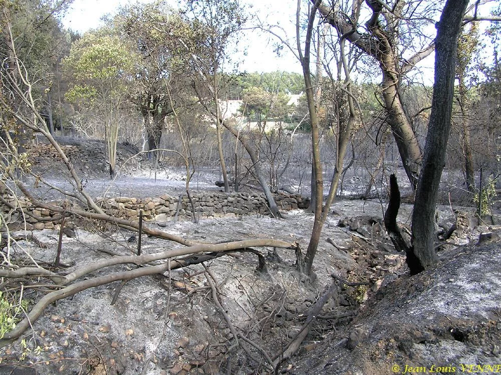 Les dégâts provoqués par l'incendie au CIN St Mandrier