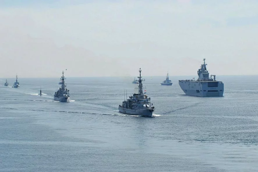 Revue Navale du 8 mai 2009