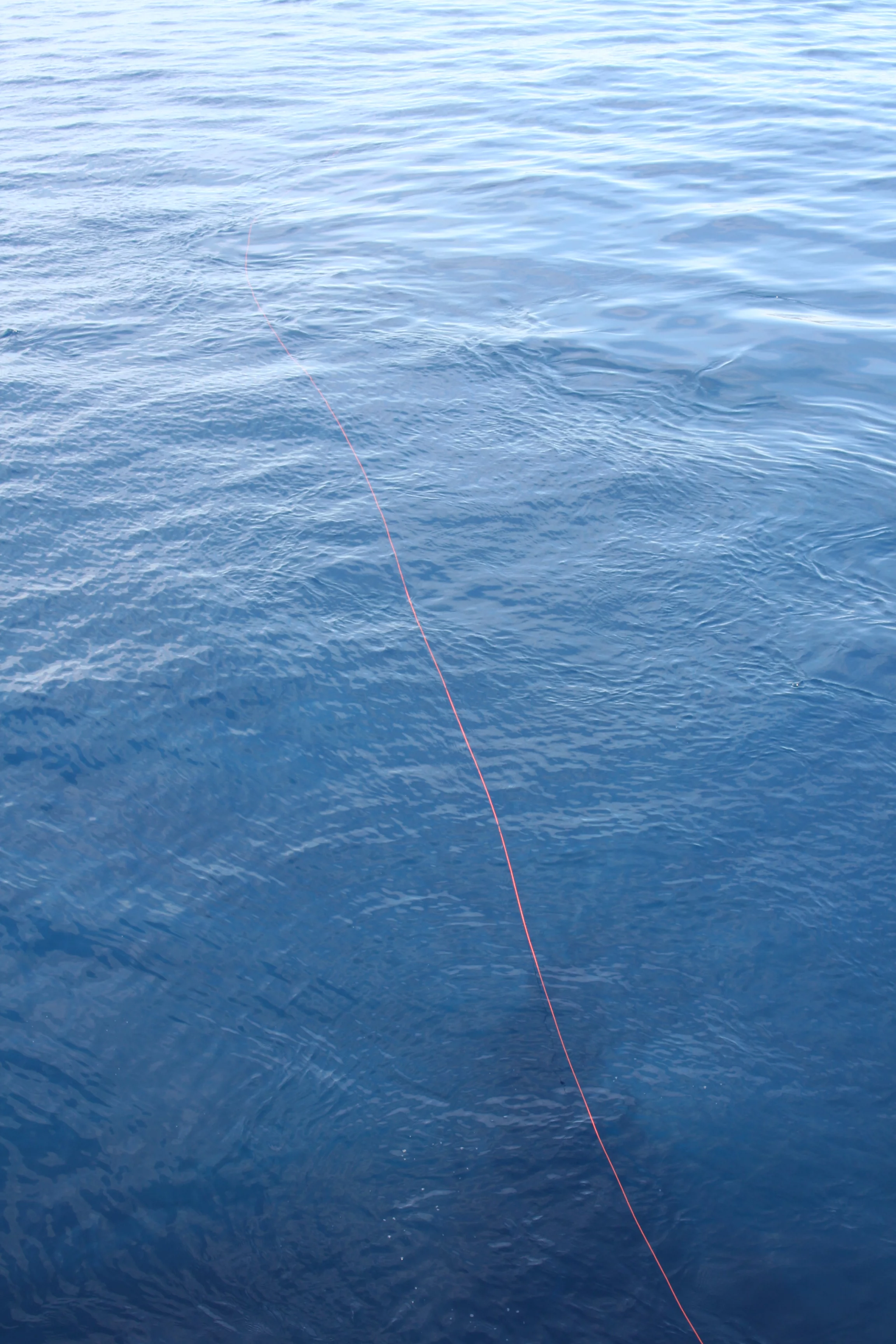 La fibre optique permettant de contrôler le drone SeaFox