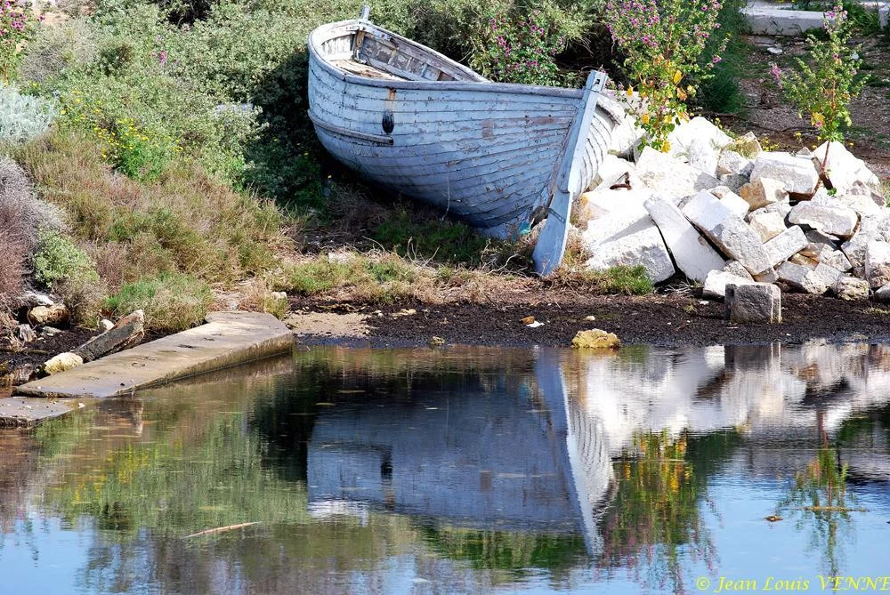 Promenade au parc de la Tour Royale