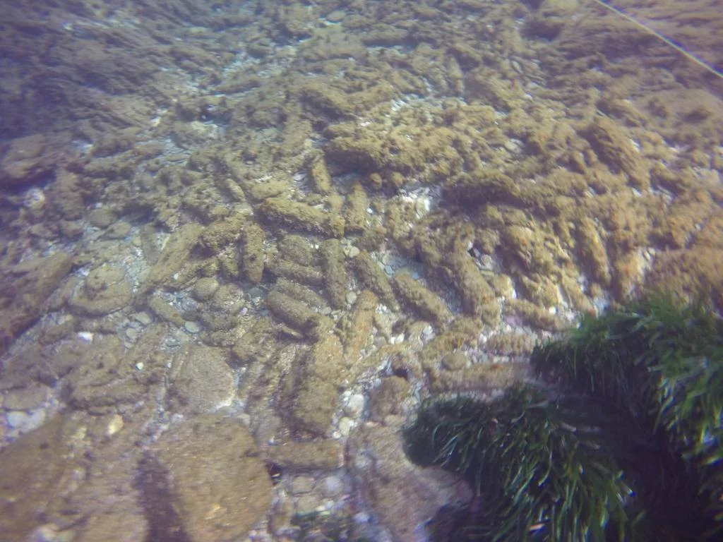 Tapis de projectiles d'artillerie