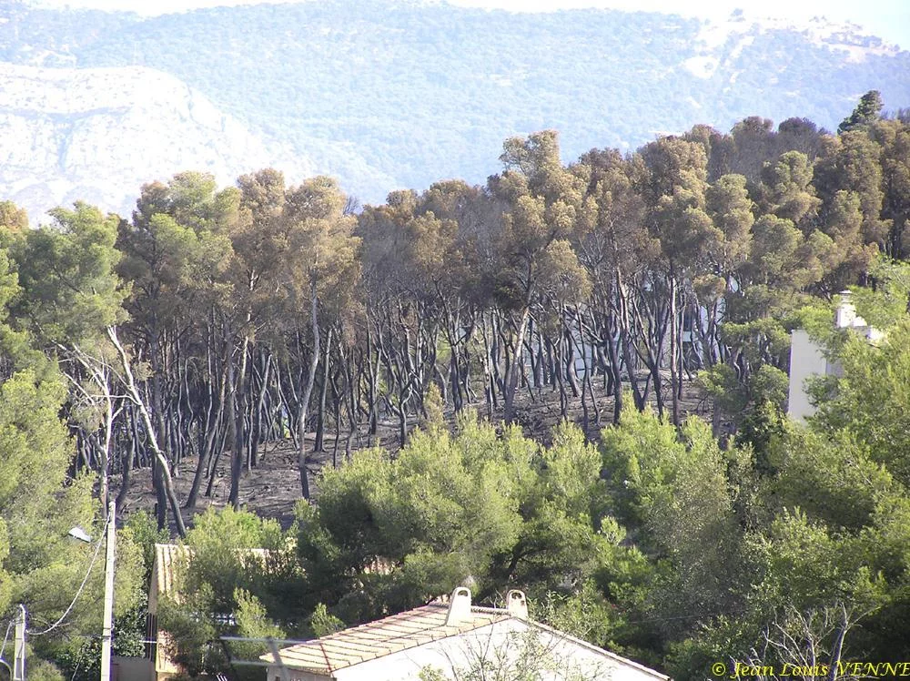Les dégâts provoqués par l'incendie au CIN St Mandrier