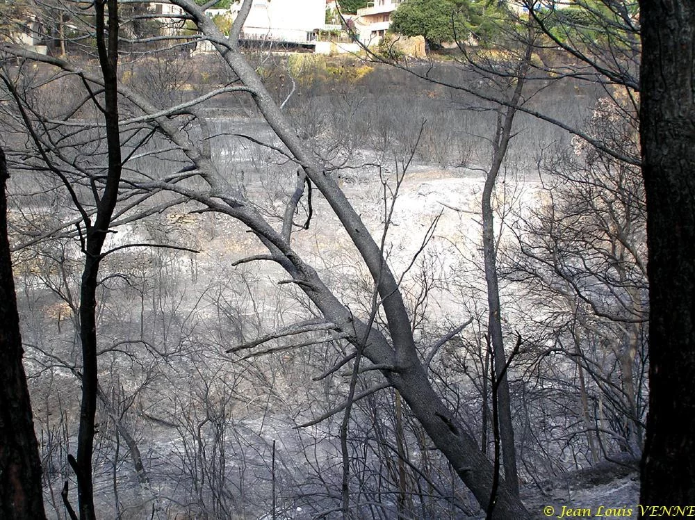 Les dégâts provoqués par l'incendie au CIN St Mandrier