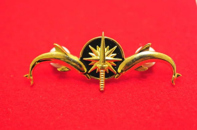 Un nouvel insigne pour les sous-mariniers sud-africains