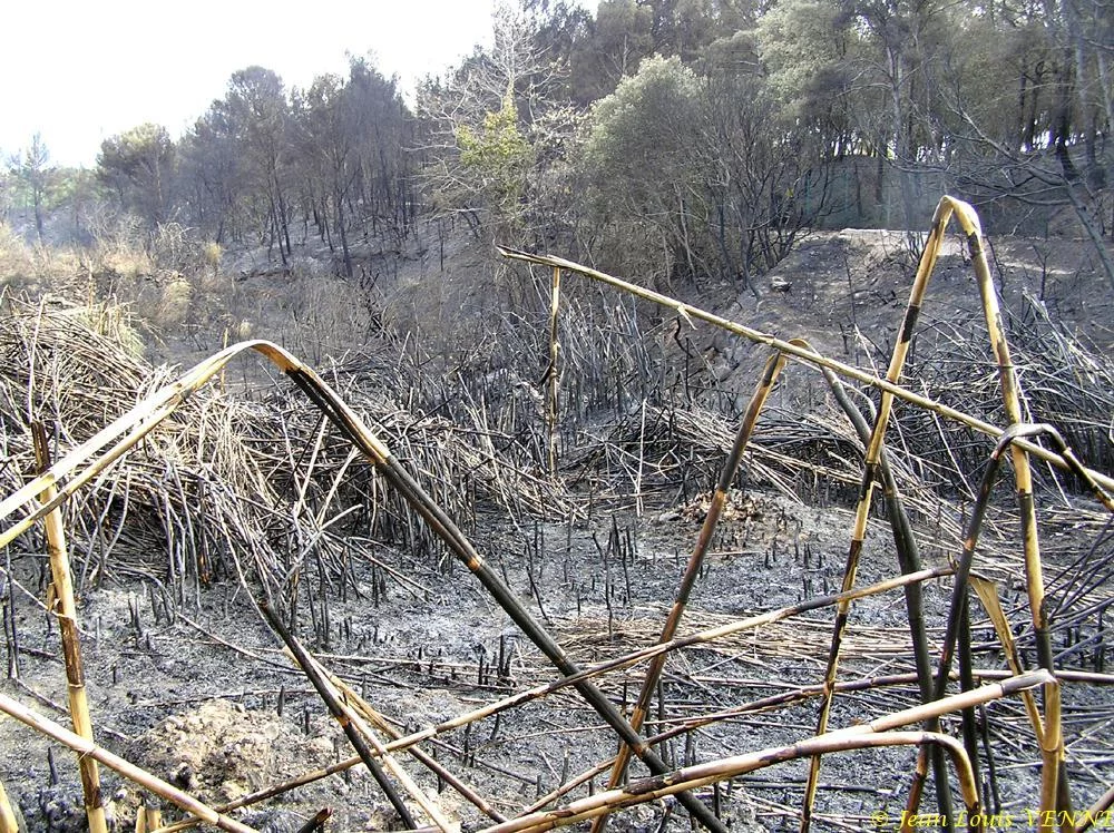 Les dégâts provoqués par l'incendie au CIN St Mandrier
