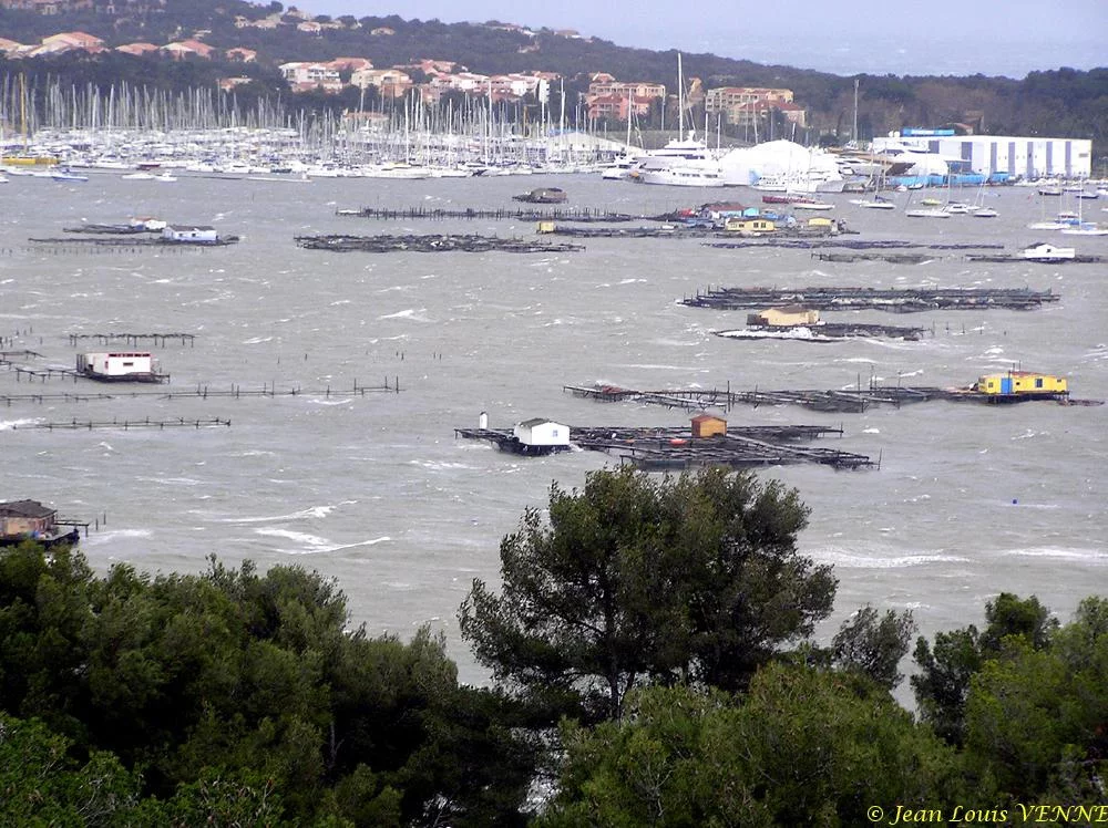 La tempête n’épargne pas le Var
