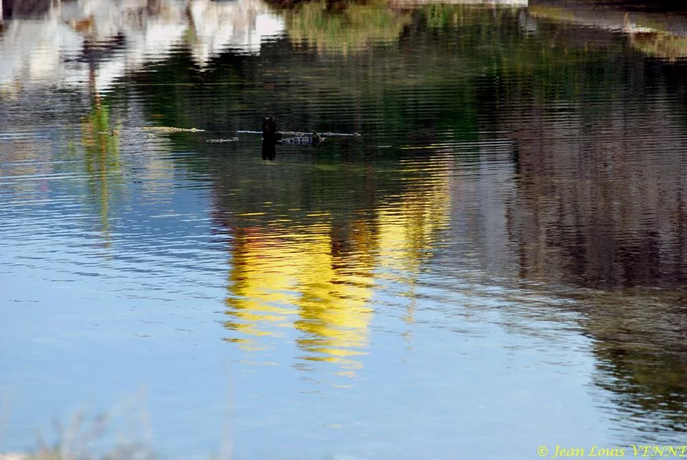 Promenade au parc de la Tour Royale