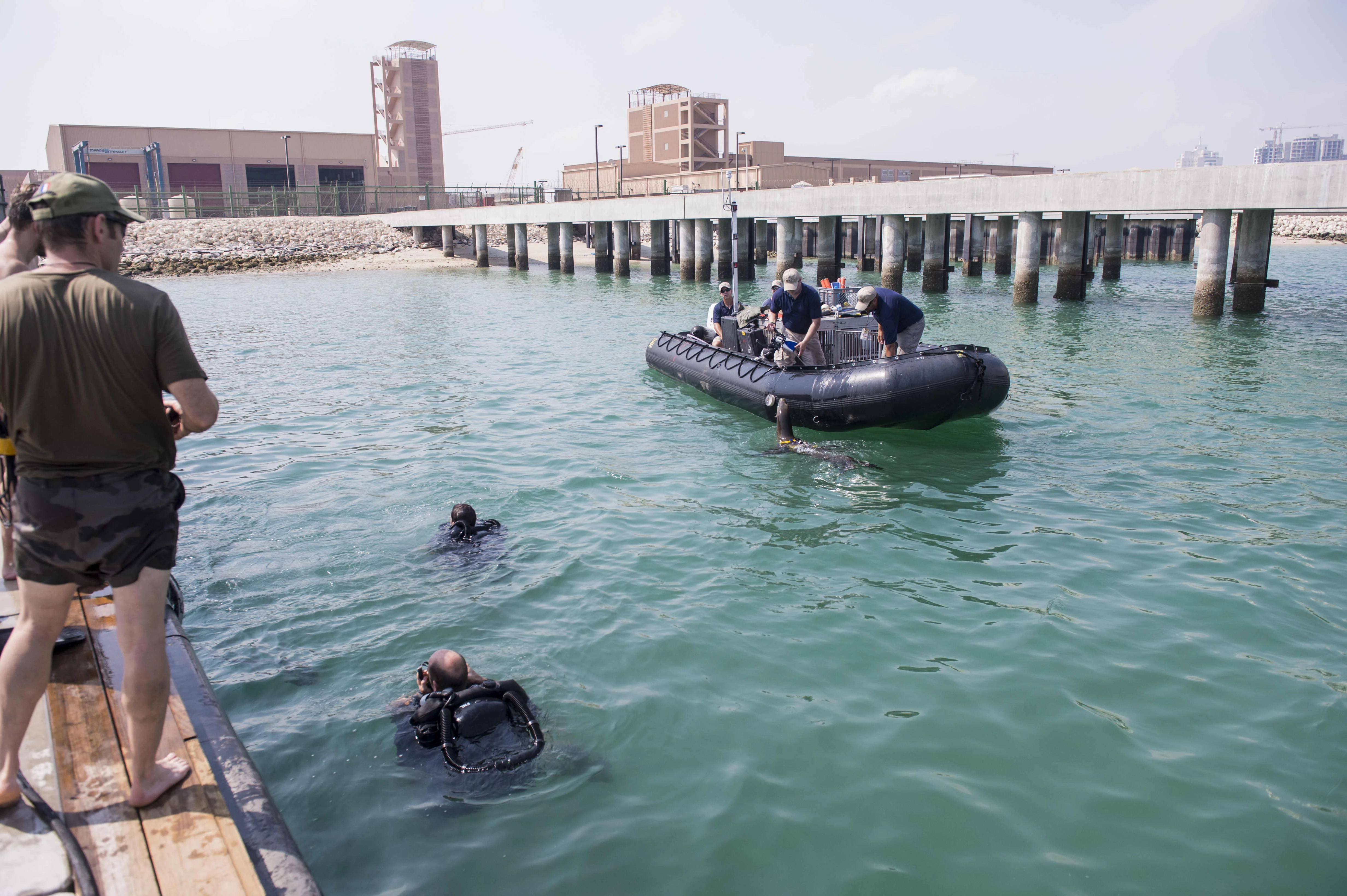Des plongeurs-démineurs participent au plus important exercice de déminage