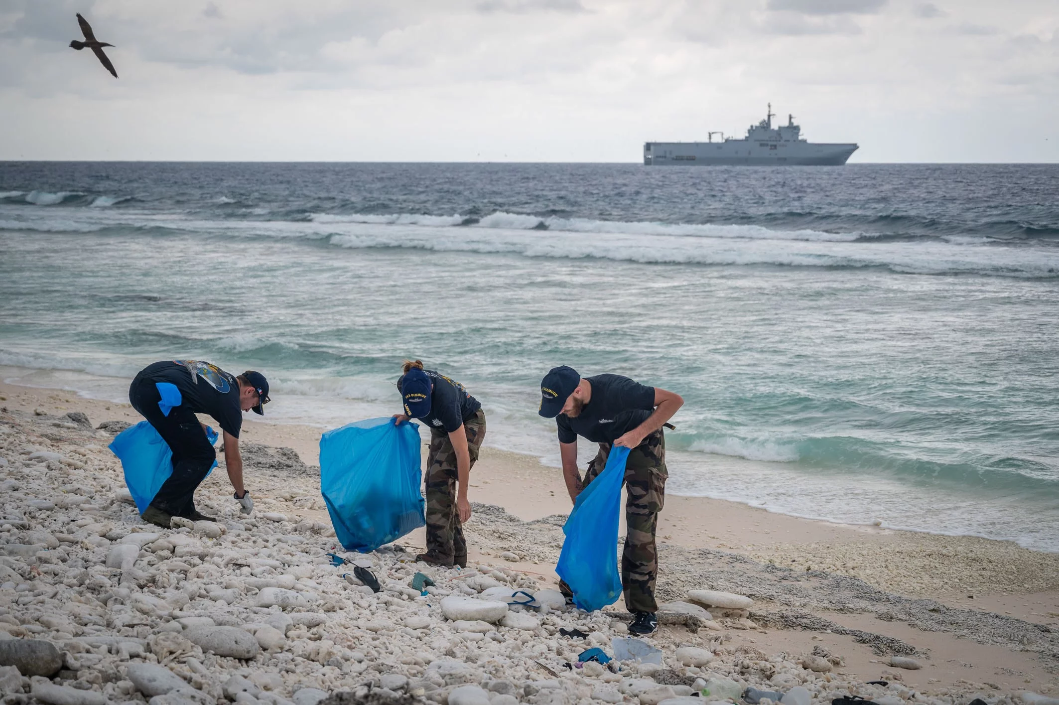 Des membres de l'équipage du Dixmude nettoient la plage de Clipperton