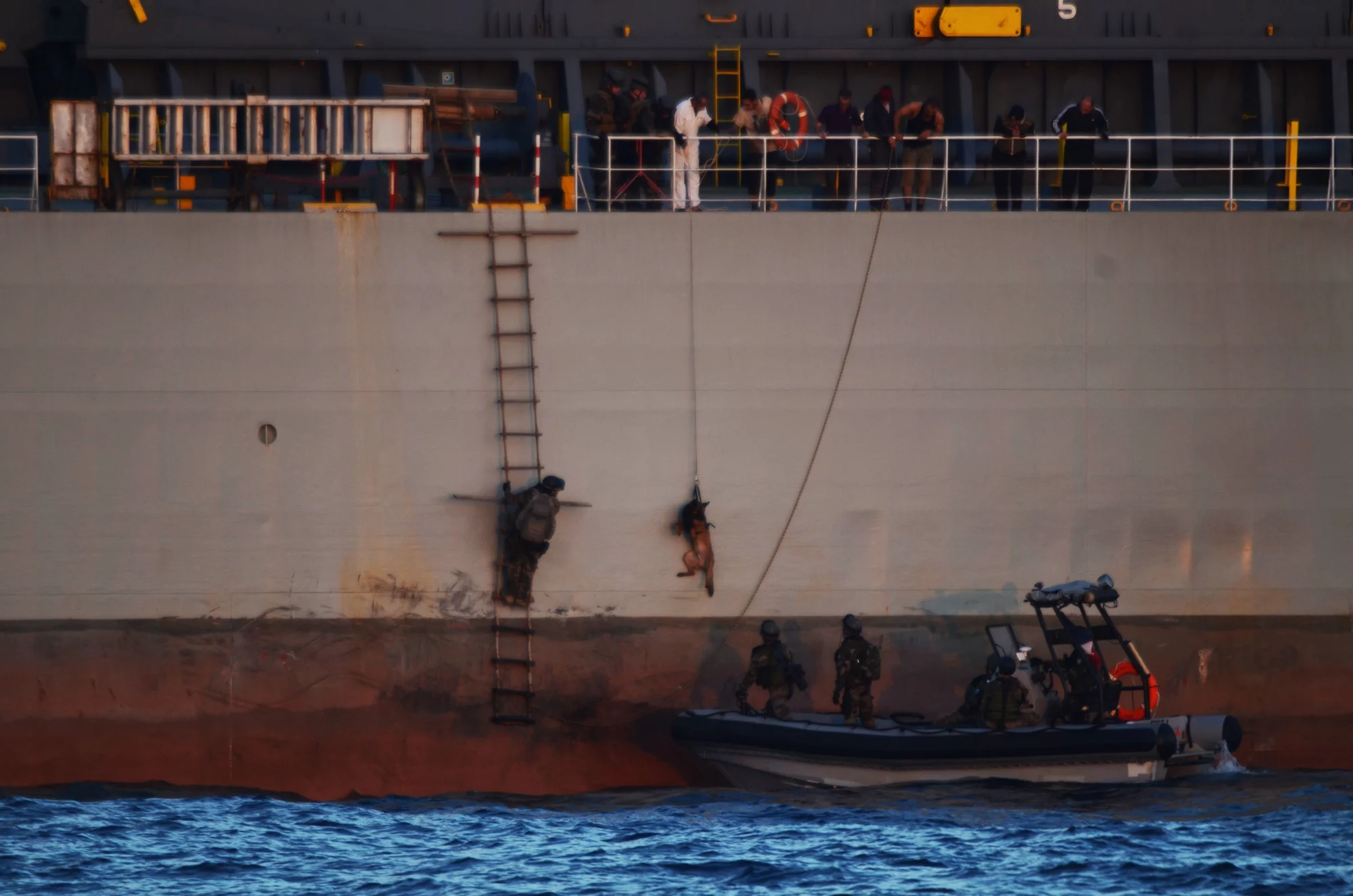 L'équipe de visite et le chien montent à bord d'un navire