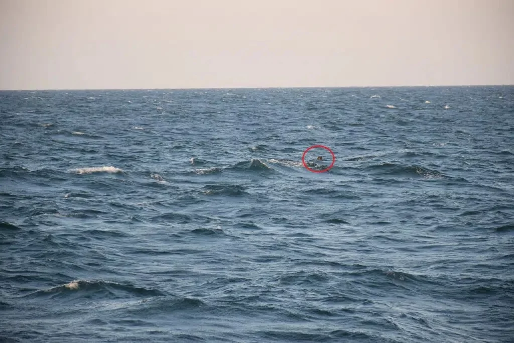 Une mine flottante en mer Noire