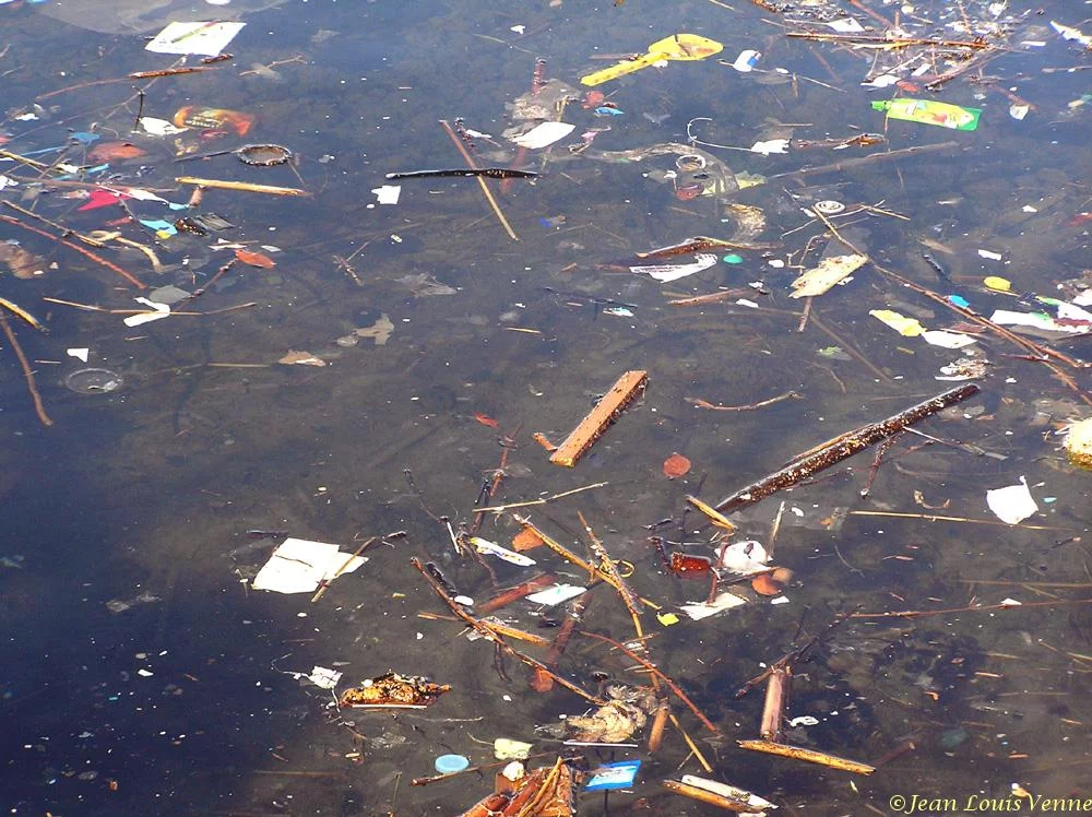 Détritus flottants dans la rade de Toulon