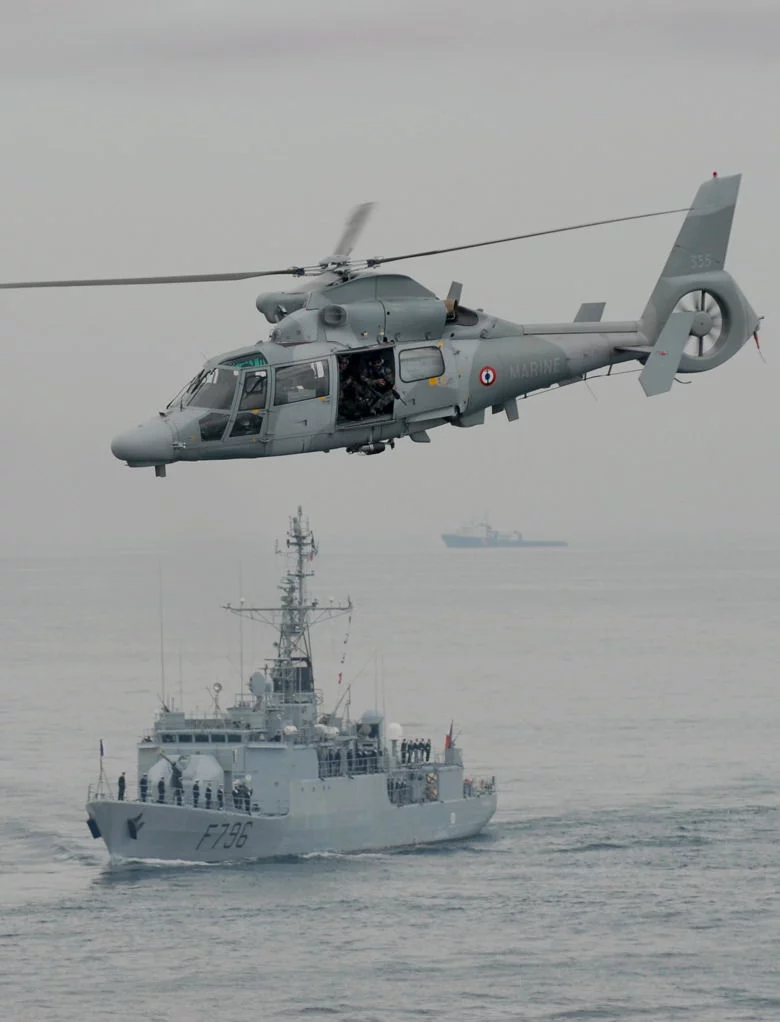 Revue Navale du 8 mai 2009