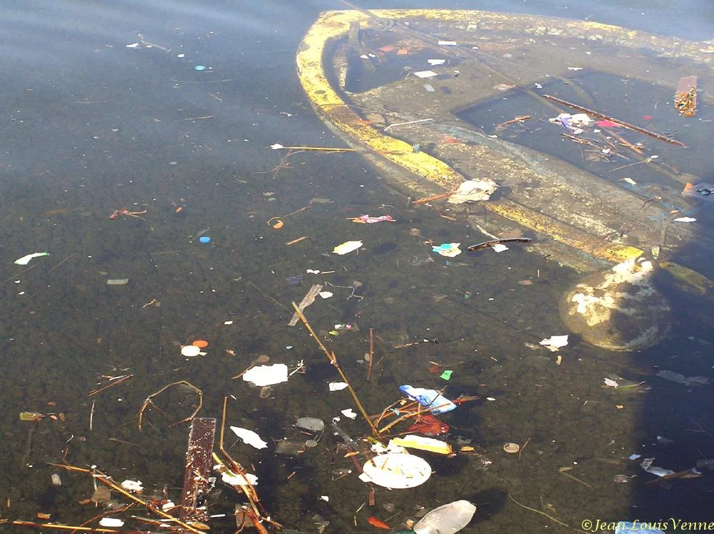 Détritus flottants dans la rade de Toulon