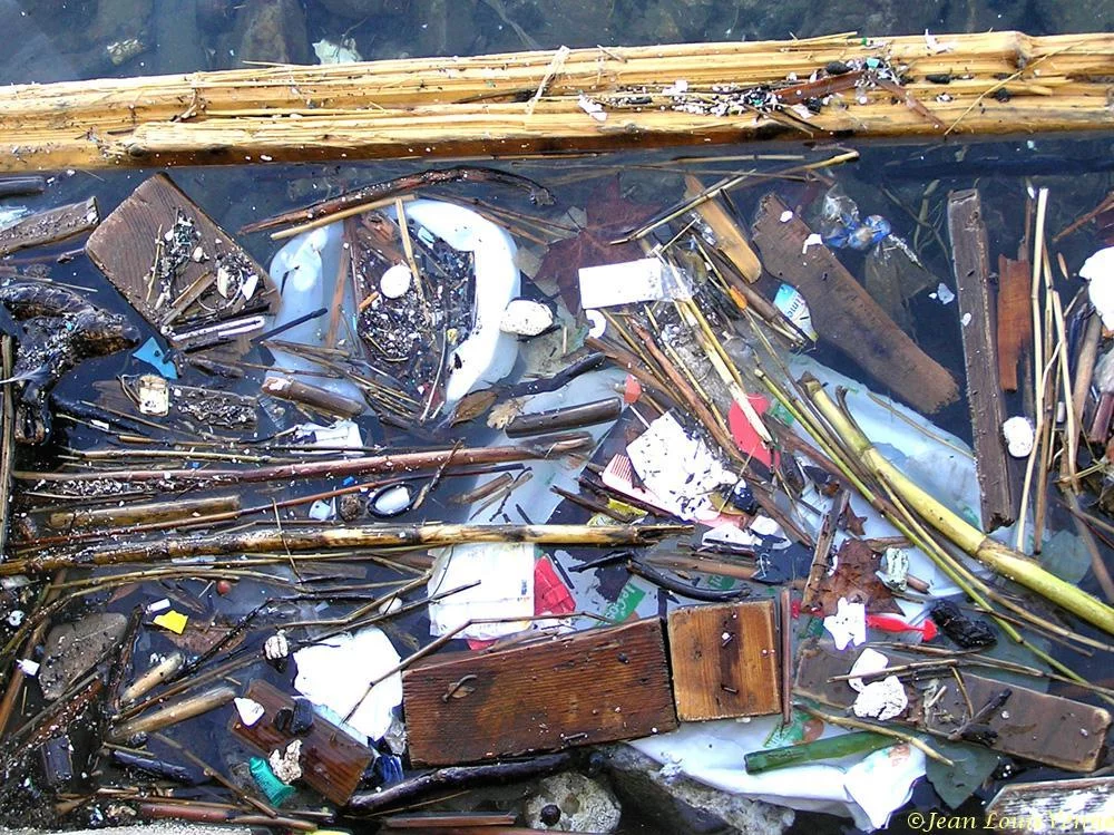 Détritus flottants dans la rade de Toulon