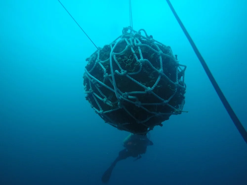 Le flotteur d'une mine à orin