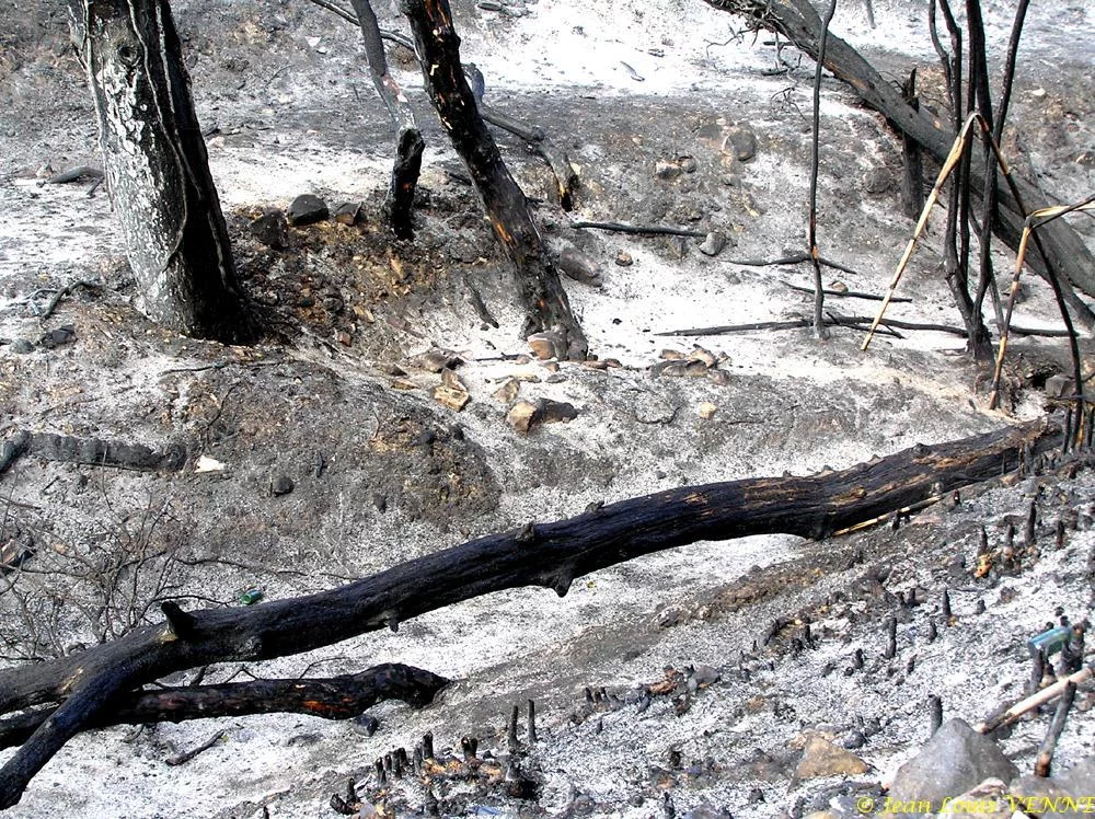 Les dégâts provoqués par l'incendie au CIN St Mandrier