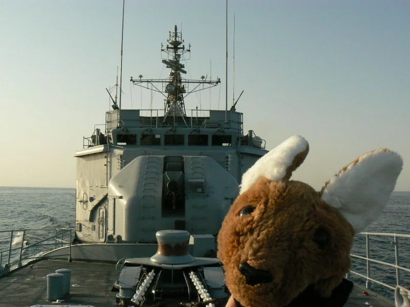 Skyppi, la mascotte, les oreilles dans le vent