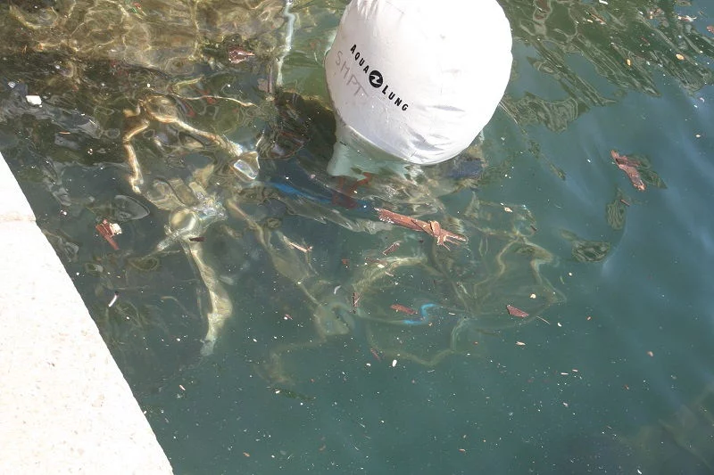 Les plongeurs remontent un objet trouvé au fond