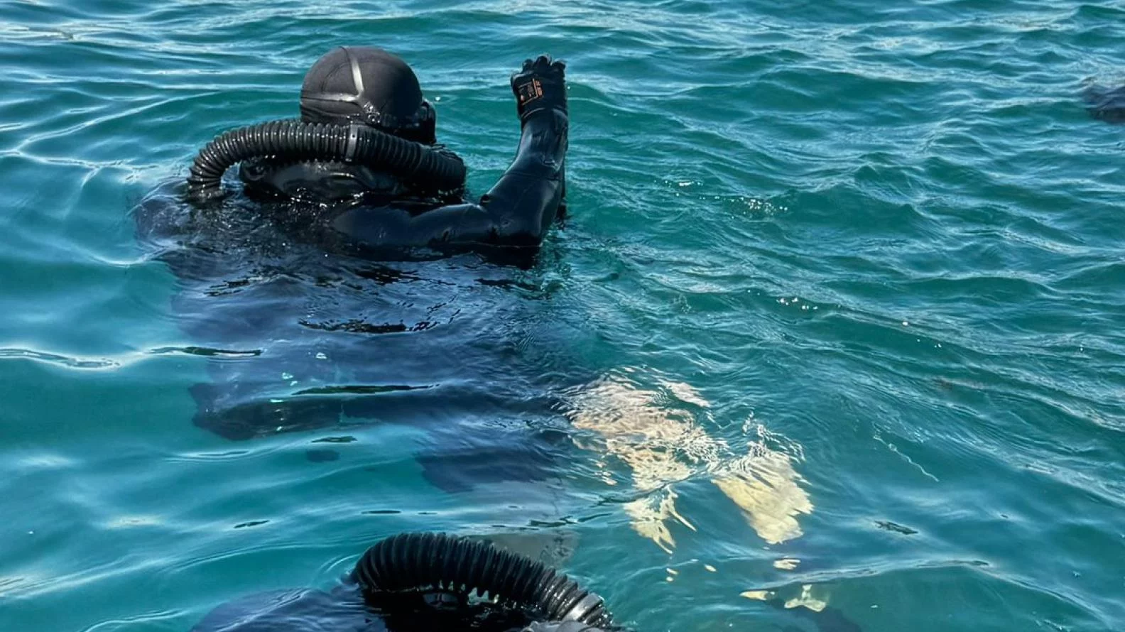 Un plongeur-démineur