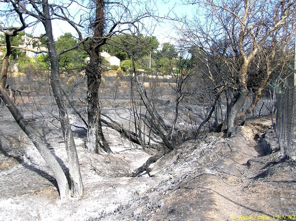 Les dégâts provoqués par l'incendie au CIN St Mandrier
