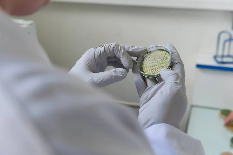 Contrôle bactériologique