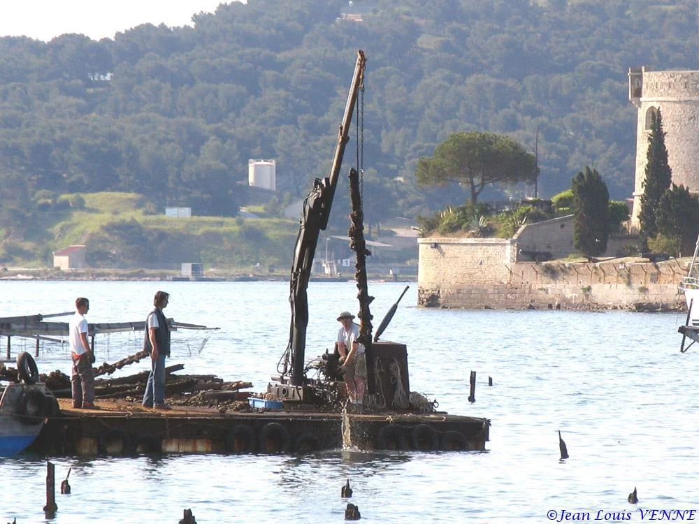 Extraction des pieux dans l’anse du Balaguier