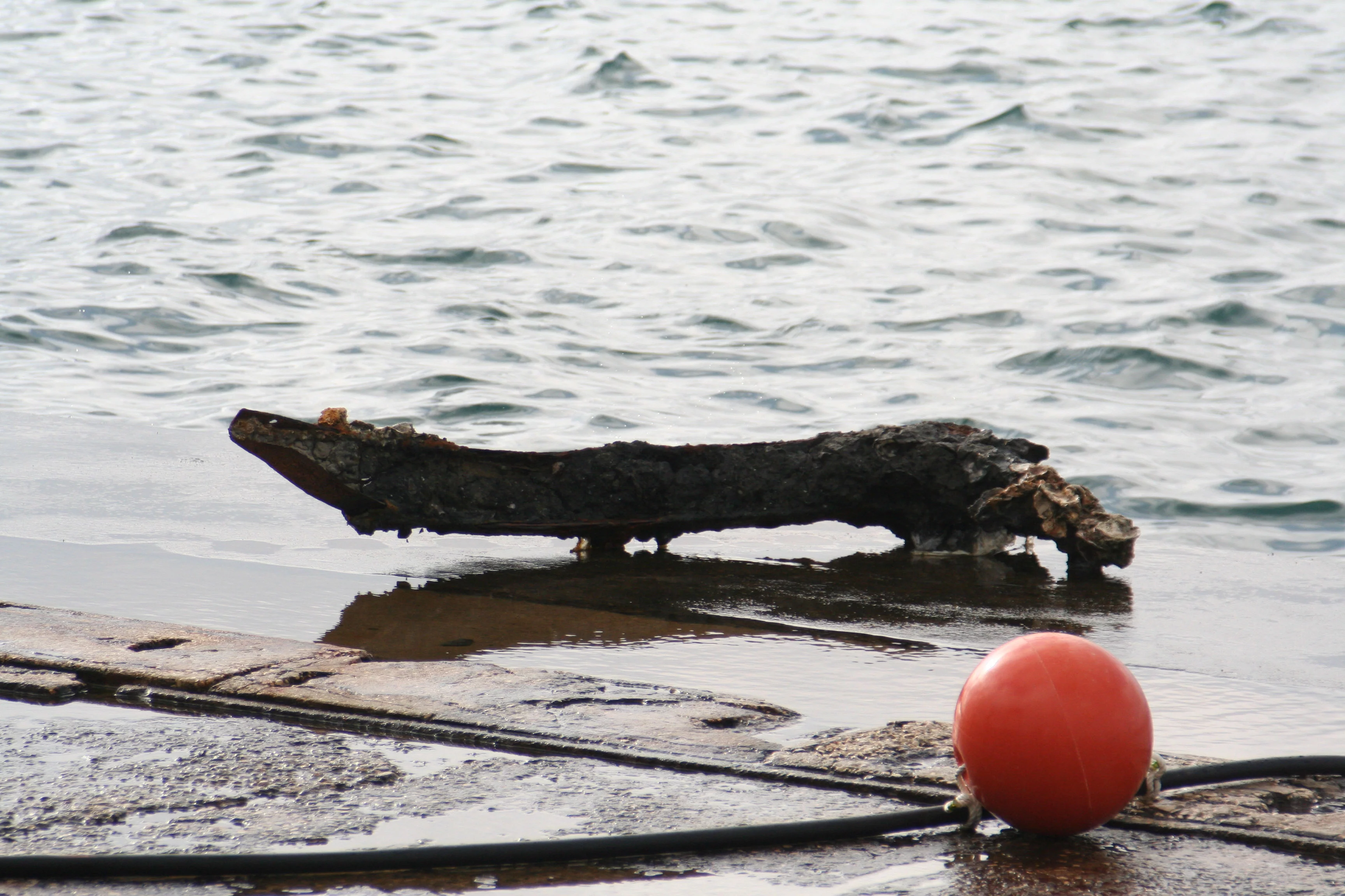 Un débris métallique remonté du fond