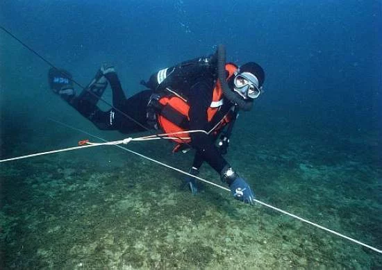 Tous les métiers existent dans la Marine