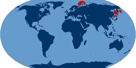 Zones de patrouille des SNLE russes en 80-90