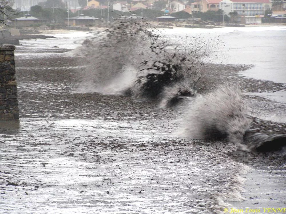 Des posidonies mortes envahissent la Seyne-sur-Mer