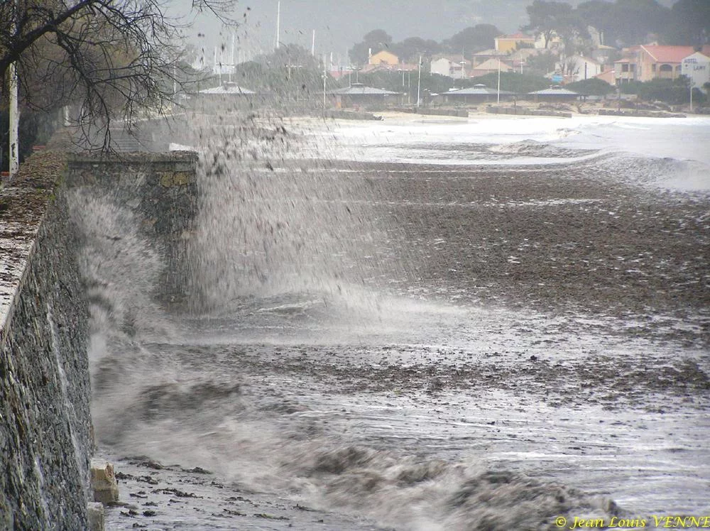 Des posidonies mortes envahissent la Seyne-sur-Mer