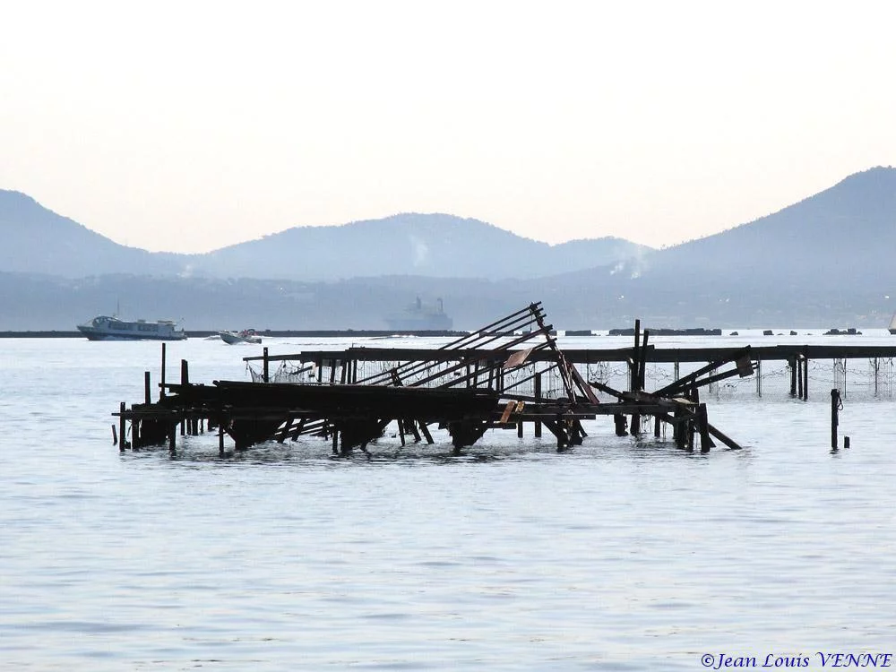 Extraction des pieux dans l’anse du Balaguier