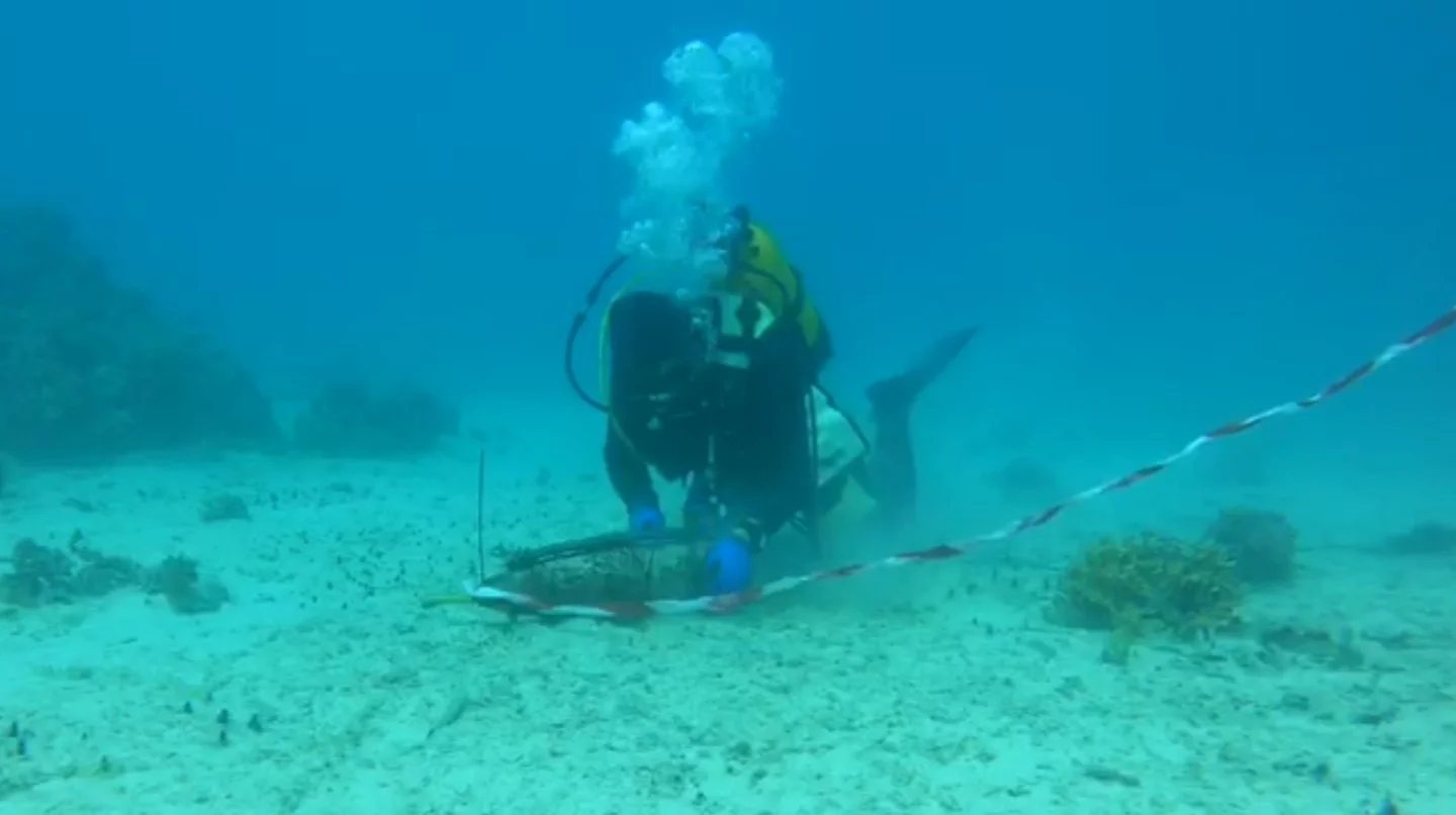 Opération de déminage dans le lagon de Nouméa