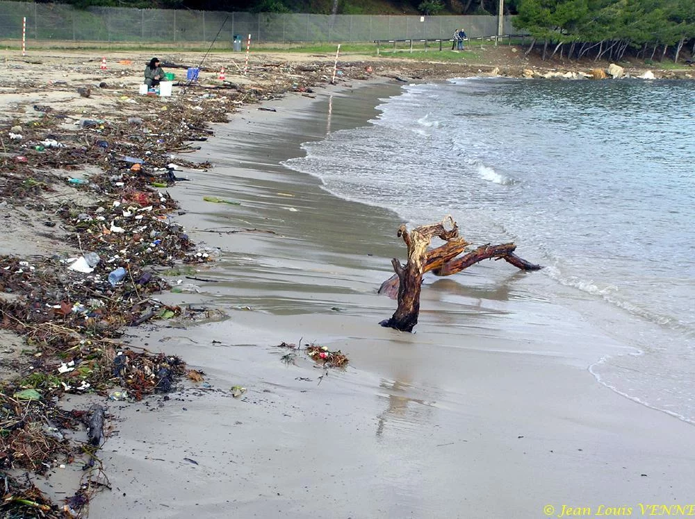 Les traces laissées par la tempête