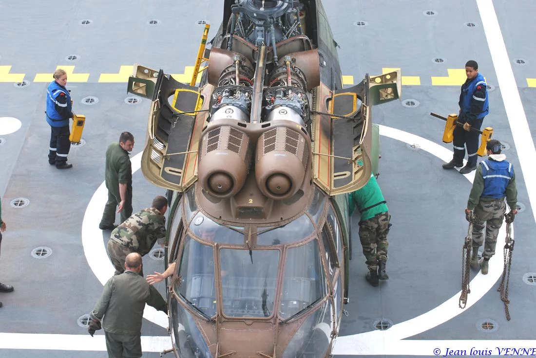 Préparation d'un Puma