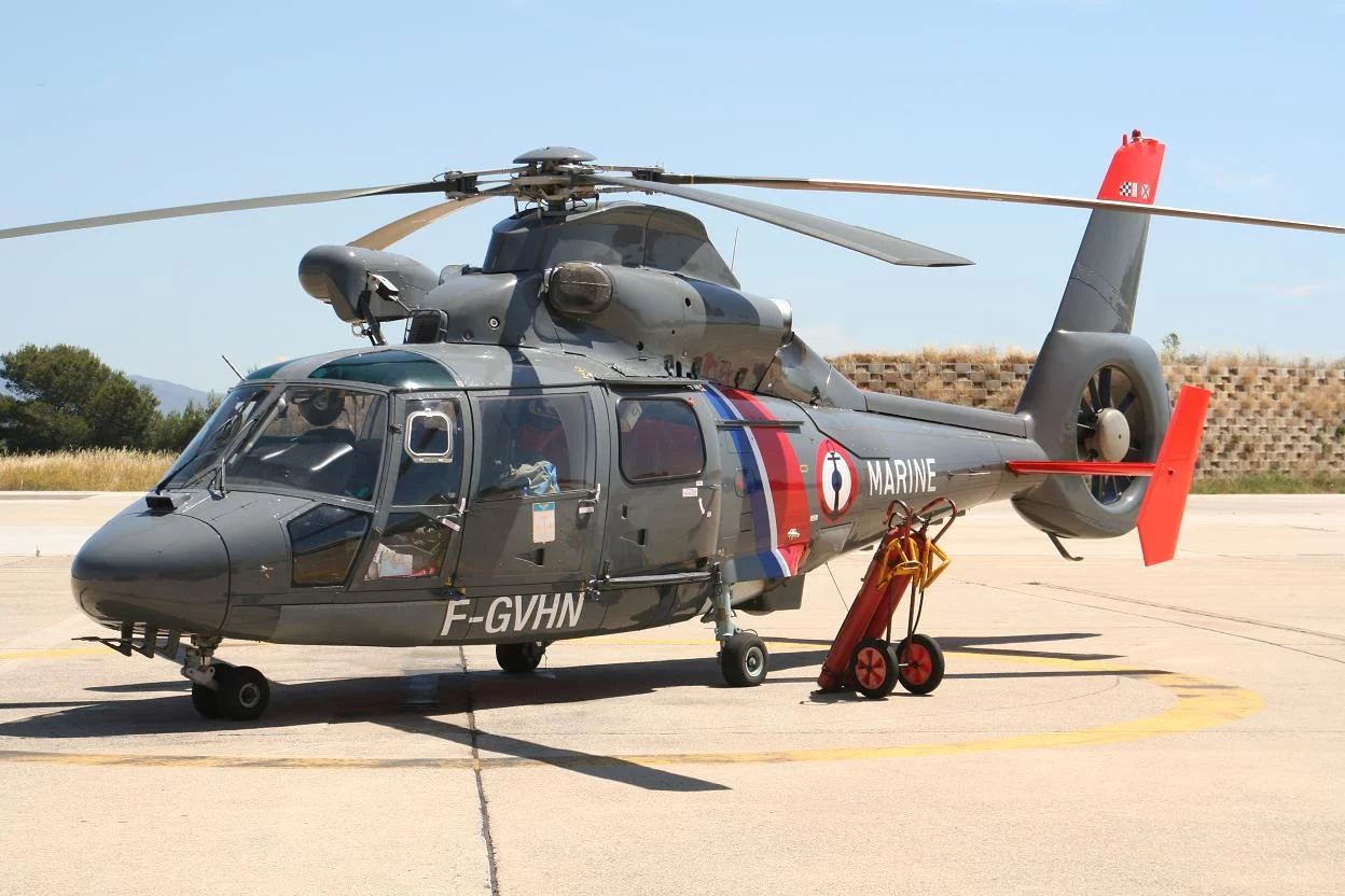 Un Dauphin loué à une société belge