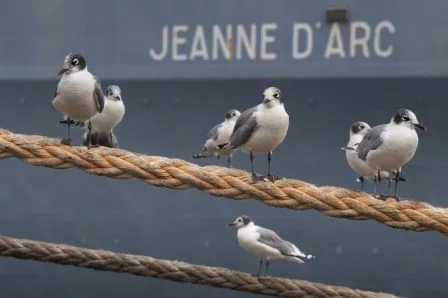 La Jeanne d'Arc à Callao