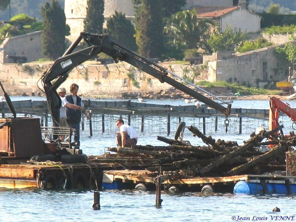 Extraction des pieux dans l’anse du Balaguier