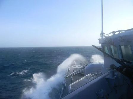 Toujours plus au sud !