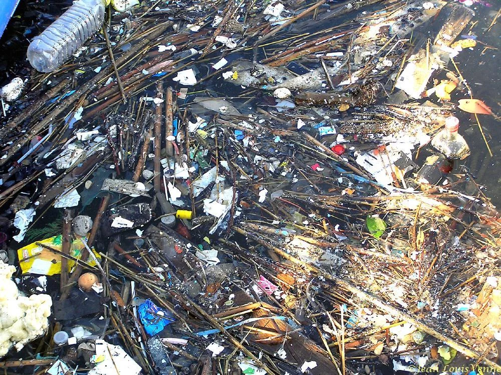 Détritus flottants dans la rade de Toulon