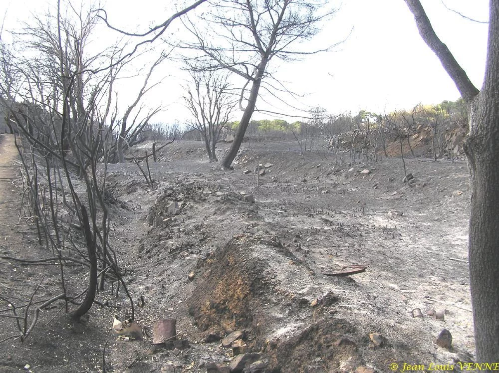 Les dégâts provoqués par l'incendie au CIN St Mandrier