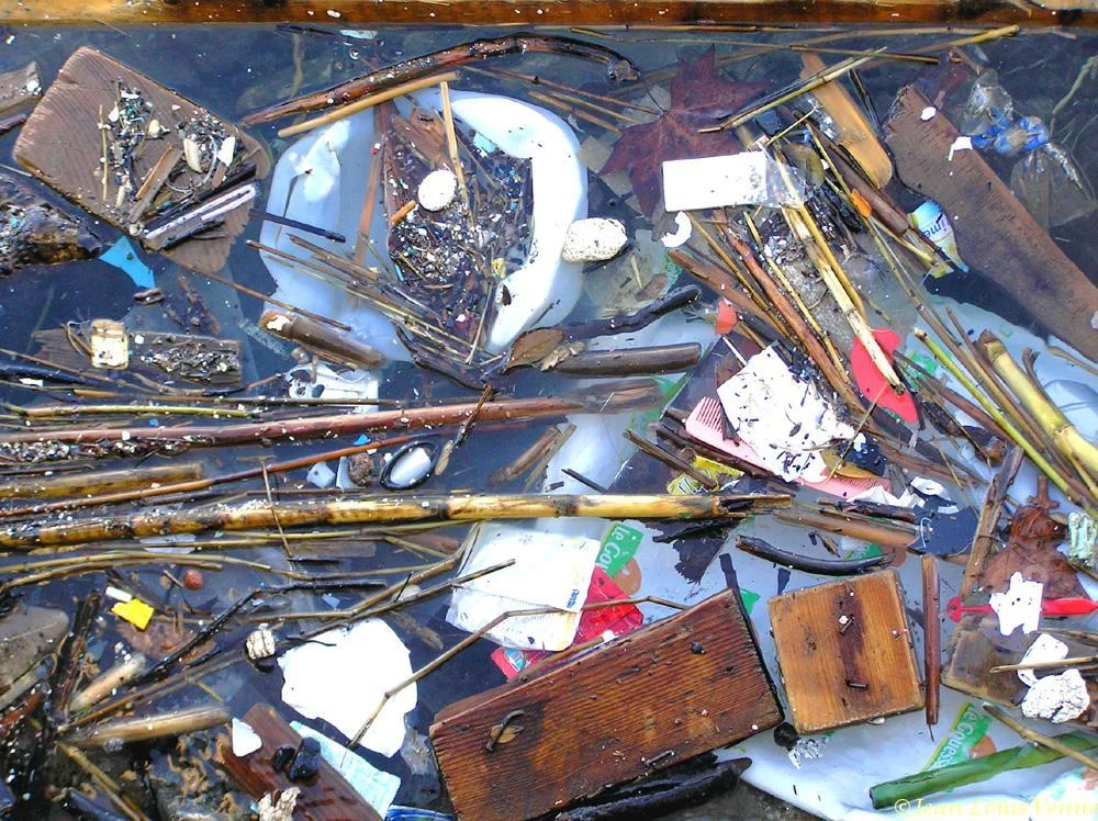 Détritus flottants dans la rade de Toulon