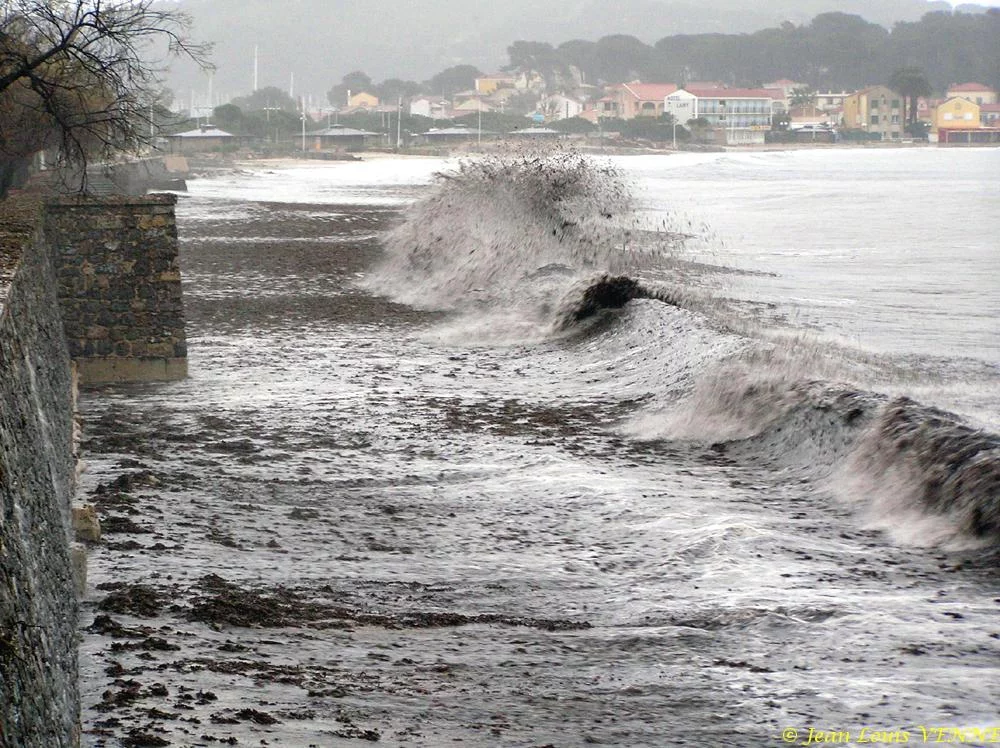 Des posidonies mortes envahissent la Seyne-sur-Mer