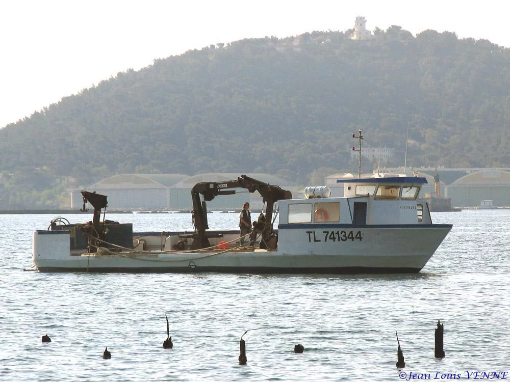 Extraction des pieux dans l’anse du Balaguier